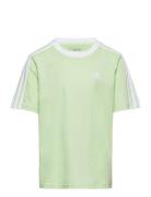 G 3S Bf T Adidas Performance Green
