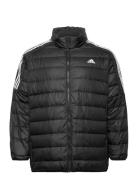 Essentials Light Down Jacket Adidas Sportswear Black