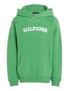 Hilfiger Arched Hoodie Tommy Hilfiger Green