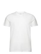 Hco. Guys Knits Hollister White