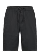 Hco. Guys Shorts Hollister Black