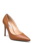 Evelyn-E Pump Steve Madden Brown