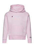 Hooded Sweatshirt Champion Pink