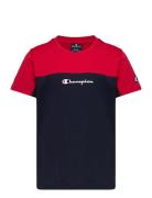 Crewneck T-Shirt Champion Navy