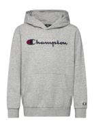 Hooded Sweatshirt Champion Grey