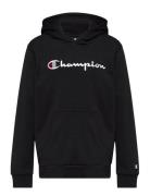 Hooded Sweatshirt Champion Black