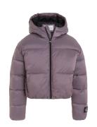 Hyper Two T Padded Bomber Calvin Klein Purple