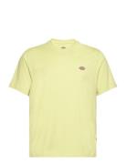 Ss Mapleton Tee Dickies Green