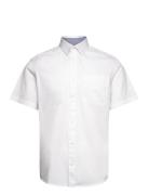 Bedford Shirt Tom Tailor White