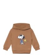 Snoopy Textured Sweatshirt Mango Brown