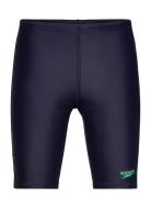 Boys Plastisol Placement Jammer Speedo Blue