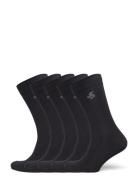 Egtved Socks Cotton 5 Pck Box Egtved Black