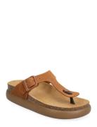 Sl Anais Chunky Suede Scholl Brown