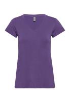 Cupoppy V-Neck T-Shirt Culture Purple