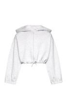 Cropped Hoody Jacket Tom Tailor Grey