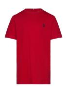 Dhm Tshirt U.S. Polo Assn. Red
