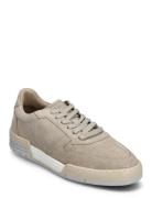 Legacy 80S - Ardesia Suede Garment Project Beige