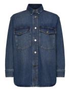 Alba Over D Shirt AllSaints Blue