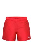 Yb Bos Shorts Adidas Performance Red