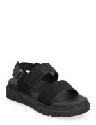 Greyfield Sandal Backstrap Sandal Black Suede Timberland Black