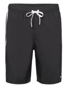 Adidas 3S Clx Swim Short Classic Length Adidas Sportswear Black
