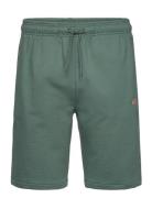 Mapleton Short Dickies Green