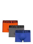 Trunk 3Pk Calvin Klein Blue