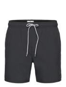 Daily Volley Rip Curl Black