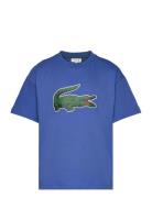 Tee-Shirt&Turtle Lacoste Blue