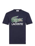 Tee-Shirt&Turtle Neck Lacoste Navy