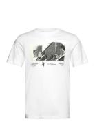 Photoprinted T-Shirt Tom Tailor White