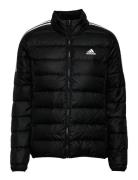Essentials Down Jacket Adidas Sportswear Black