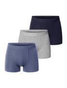 3-Pack Boxer Brief Aw24 Mixed Colors Bread & Boxers Blue