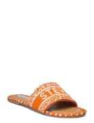 Verah Sandal Steve Madden Orange