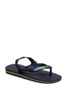 Hav Baby Brasil Logo Hollywood Havaianas Blue