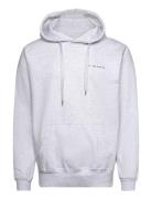 Heavyweight Organic Logo Hoodie - Ash S.T. VALENTIN Grey