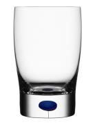 Intermezzo Blue Tumbler 25Cl Orrefors Blue