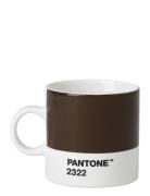 Espresso Cup PANT Brown