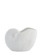 Shelise Decoration Shell Lene Bjerre White