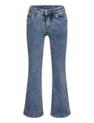 Flared Fit Denim Pants Tom Tailor Blue