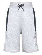 Bermuda Shorts BOSS Grey