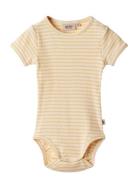 Body S/S Elisa Wheat Yellow