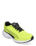 Scend Pro PUMA Yellow