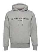 Core Tommy Logo Hoody Tommy Hilfiger
