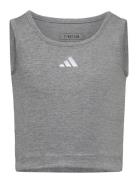 Jg Tk Lux Adidas Sportswear Grey