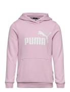 Ess Logo Hoodie Tr G PUMA Pink