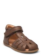 Starters? Drops Velcro Sandal Pom Pom Brown