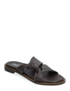 Asymetric Flat Apair Brown