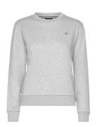 Reg Sweat GANT Grey