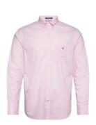 Reg Poplin Gingham O.shield Shirt GANT Pink